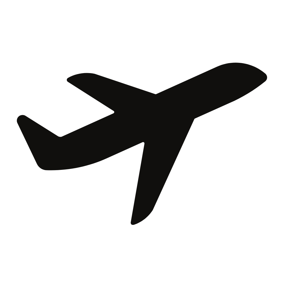 Fixed Wing Icon